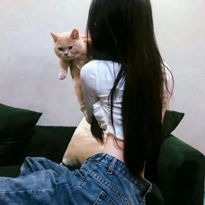 弹无虚发